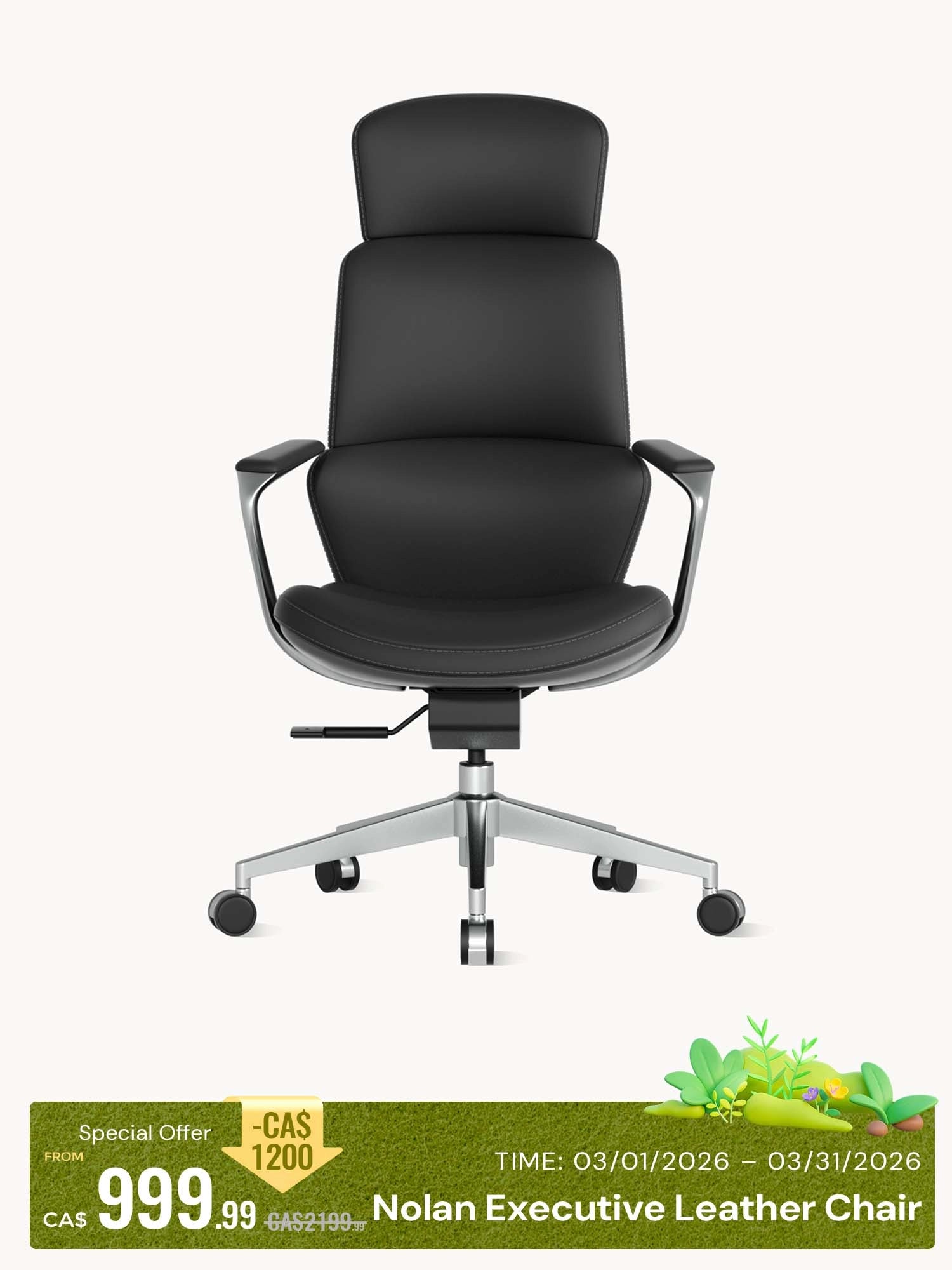 Nolan Leather Chair with Classic Design