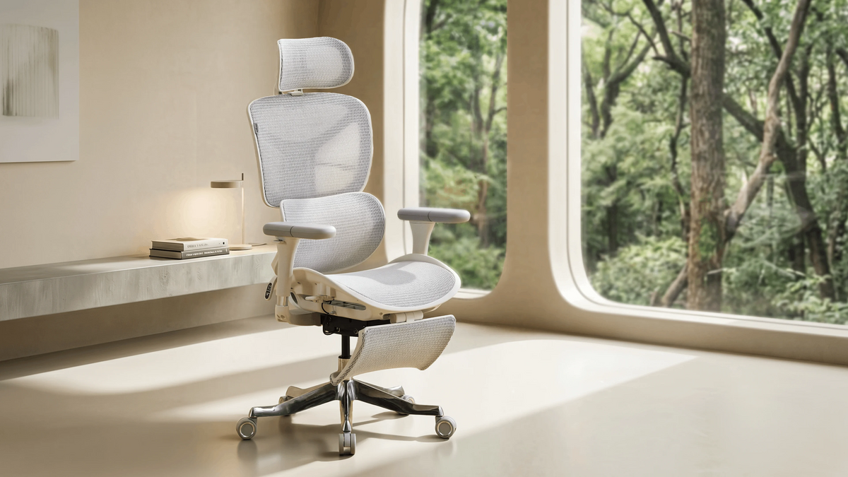 Ergonomic Chairs