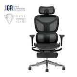 Ergonomic office chair with black mesh headrest, back, and seat, swivel base
